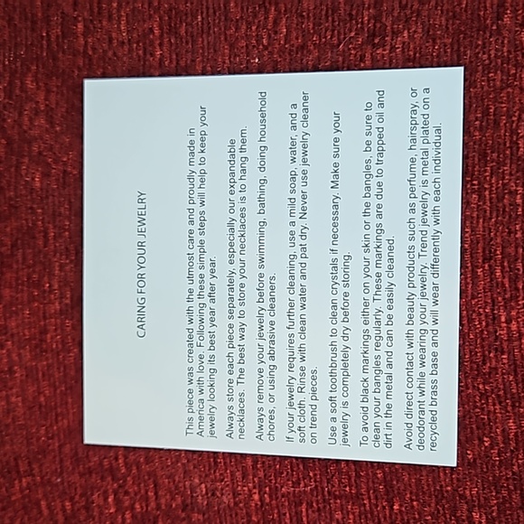 Alex and Ani Best Friends Rafaelian Silver Bangle Bracelet - Picture 5 of 6